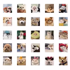 10PCS Cute Dog Cat MEME Stickers PVC Waterpoof Decals DIY Laptop Phone Luggage Stationary Funny Animal Sticker Toys Gift - Image 3