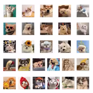 10PCS Cute Dog Cat MEME Stickers PVC Waterpoof Decals DIY Laptop Phone Luggage Stationary Funny Animal Sticker Toys Gift - Image 4